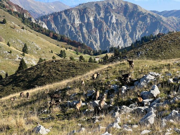 Berge und Seen · Foto 26
